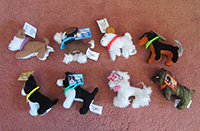 Hotel for dogs